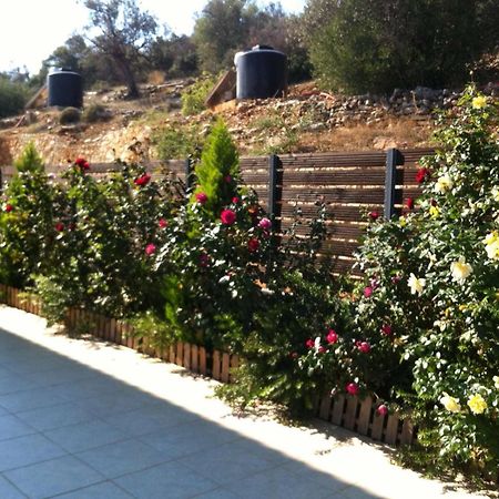 Vl Luxury Villa كيفيريون المظهر الخارجي الصورة